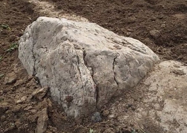 ????? ??????.. ???? ??? ?? ????? ??????? ??? ?? ???