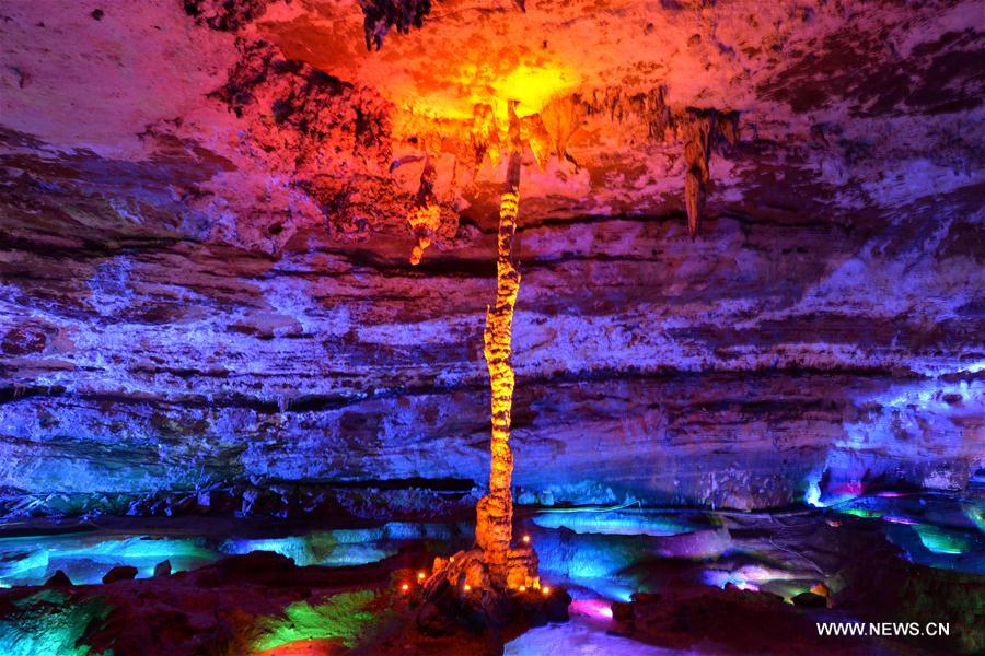 ???? 238.48 ????????... ??? ??????? ?????? ?????? ?? ????