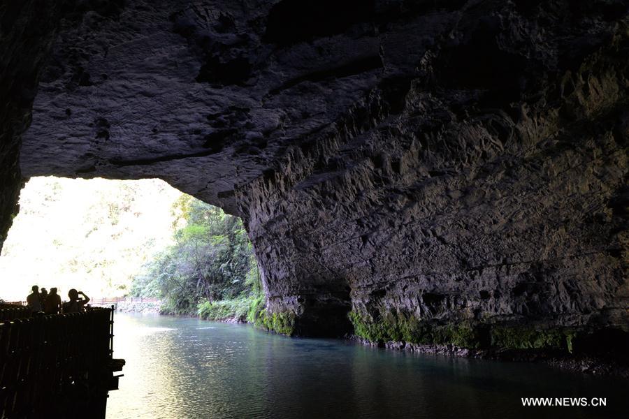 ???? 238.48 ????????... ??? ??????? ?????? ?????? ?? ????