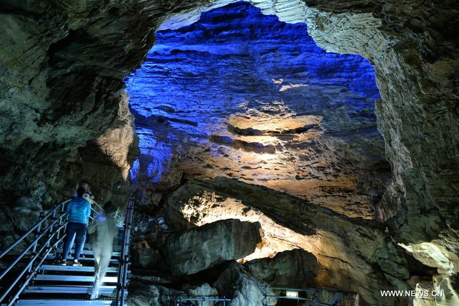 ???? 238.48 ????????... ??? ??????? ?????? ?????? ?? ????