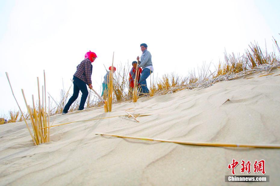 ????? ??? ?? ?????? ?????? ?? ????? ??????? ?????????