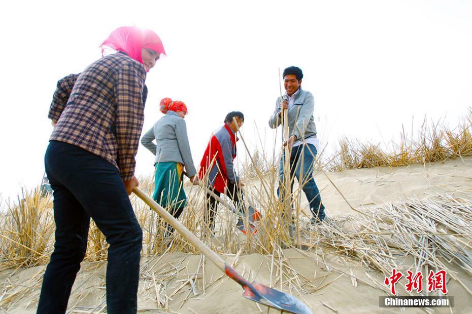 ????? ??? ?? ?????? ?????? ?? ????? ??????? ?????????