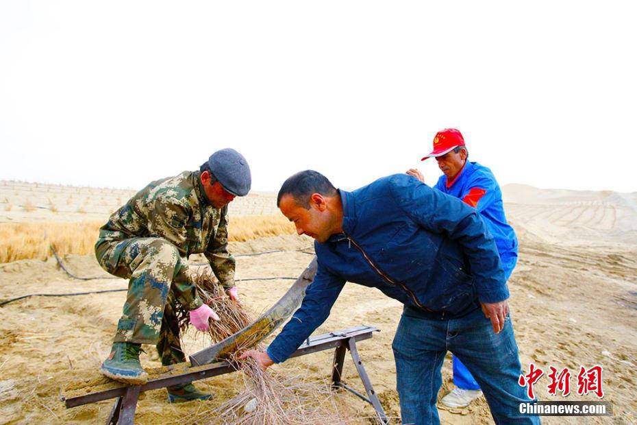 ????? ??? ?? ?????? ?????? ?? ????? ??????? ?????????