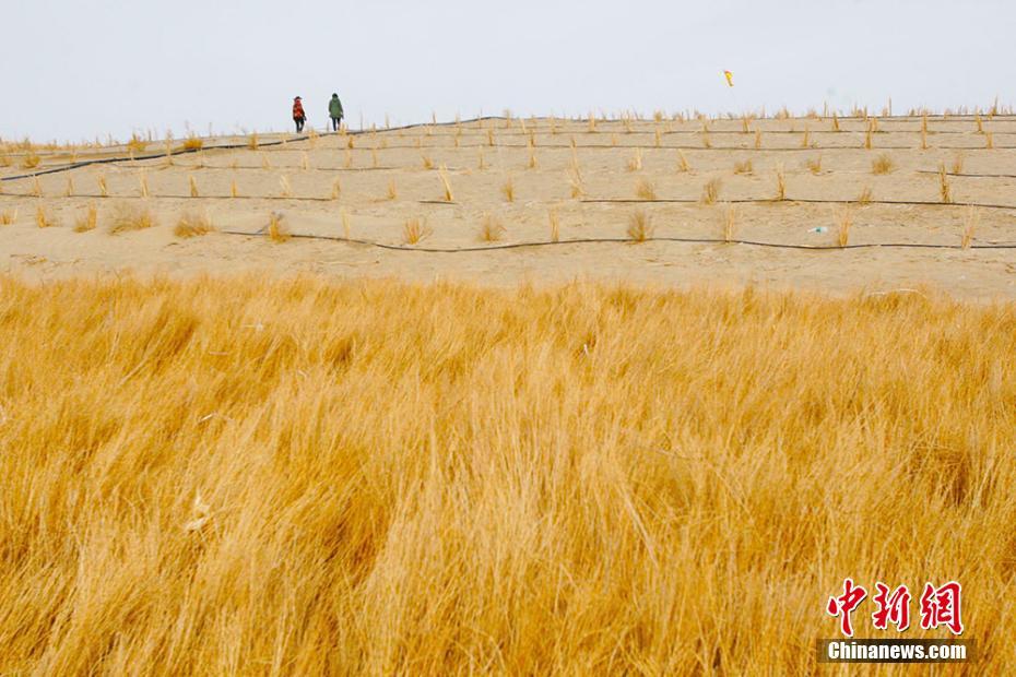 ????? ??? ?? ?????? ?????? ?? ????? ??????? ?????????