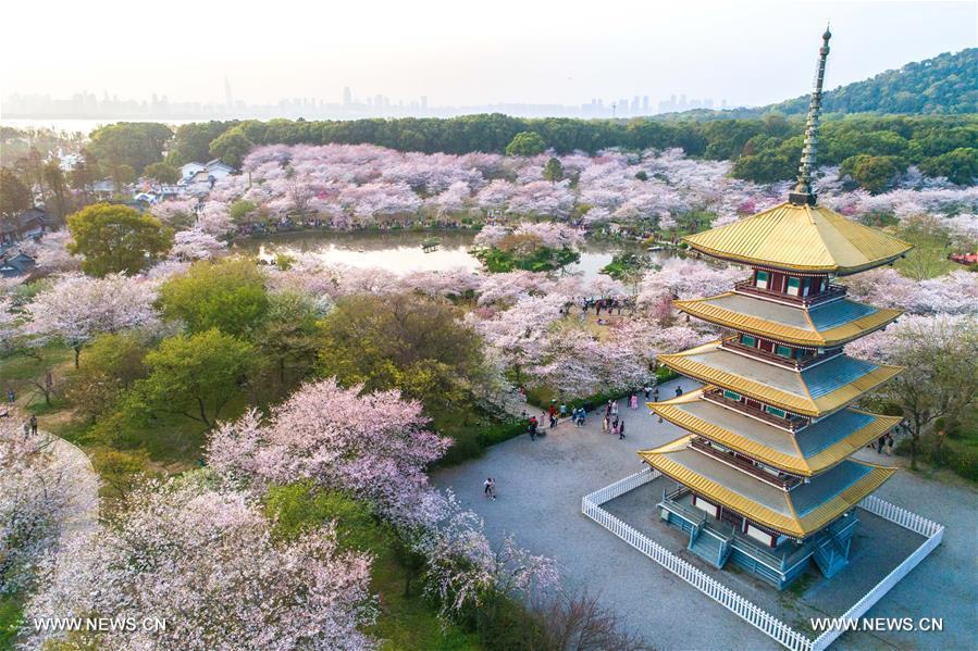 ???? ???? ????? ???? ????? ?? ????? ?????