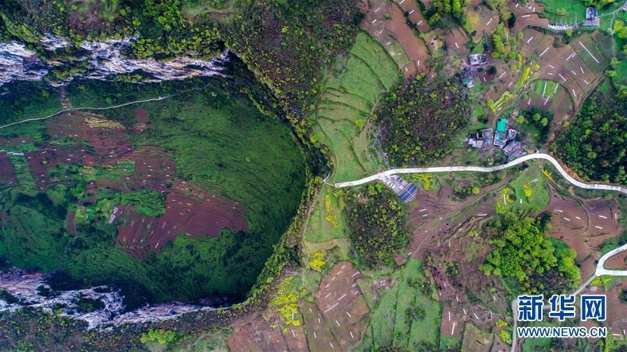 ????? ?????: ?????? ?? ????? ???????? ?? ???? ?????