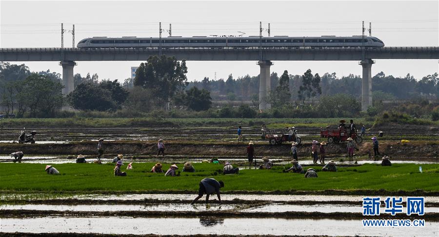 ??? ?? ???? ???? ?????? ???? ??? ????? ??????? ?? ??????