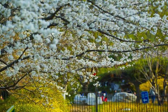 ????? ??? ???? ??? ????? ????? ?????? ?????