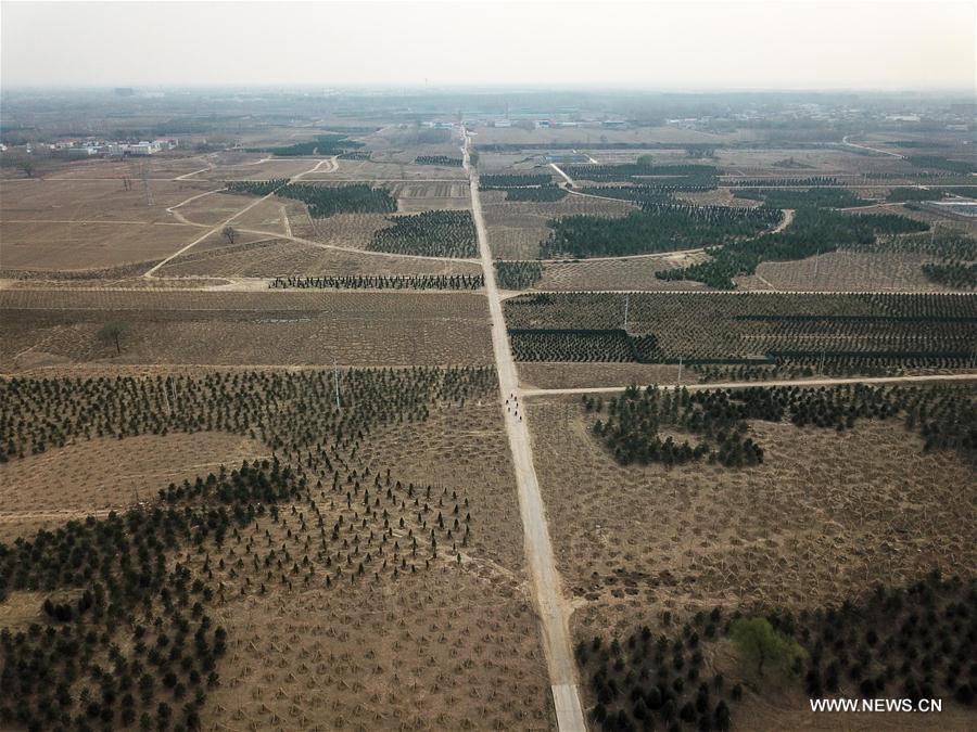 ????? ??????? ??????? ?? ?????? ?????? ????????