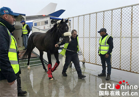 ?????? ?????????? ????? ?? ???? ?????? ?????? ???????