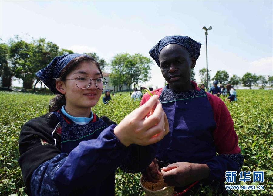 ???? ????? ?????? ????? ????? ?????? ?? ???????