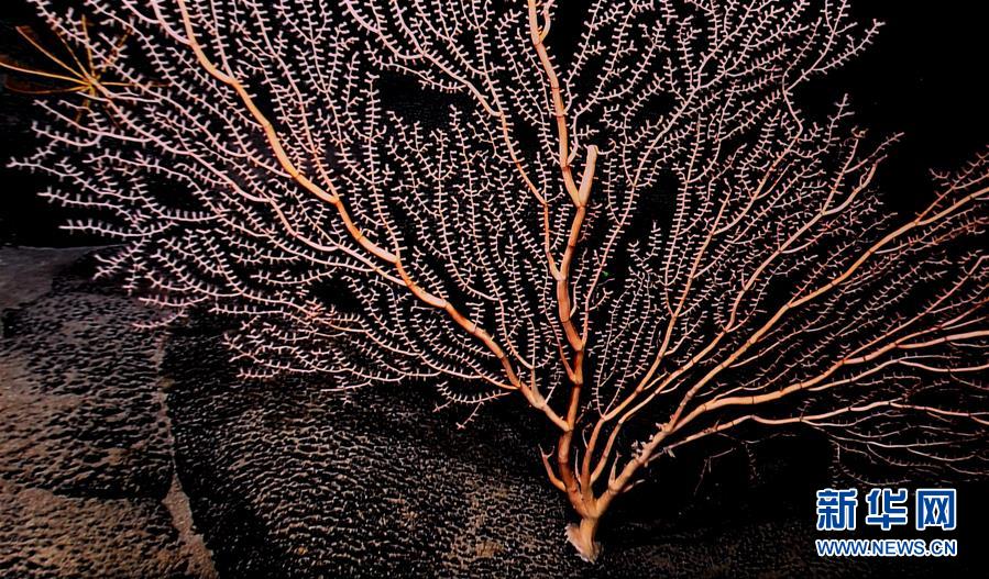 ????? ????? ?????? ??????? ????? 