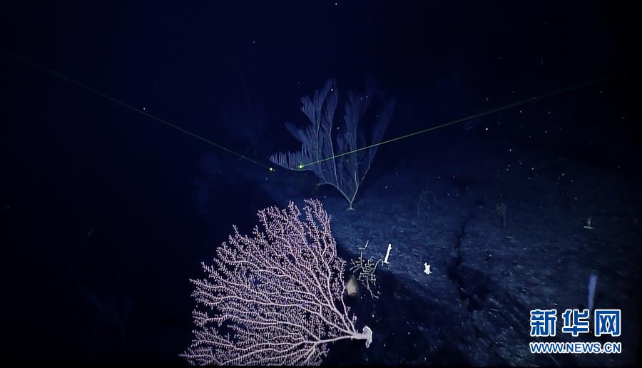 ????? ????? ?????? ??????? ????? 