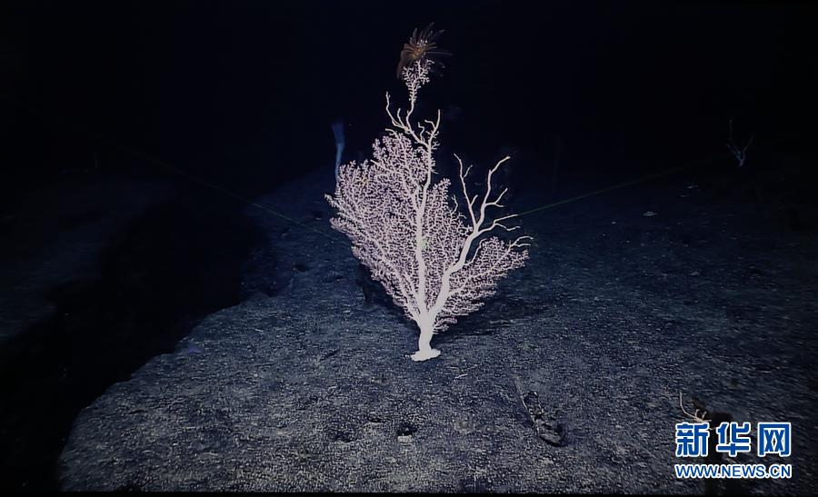 ????? ????? ?????? ??????? ????? 