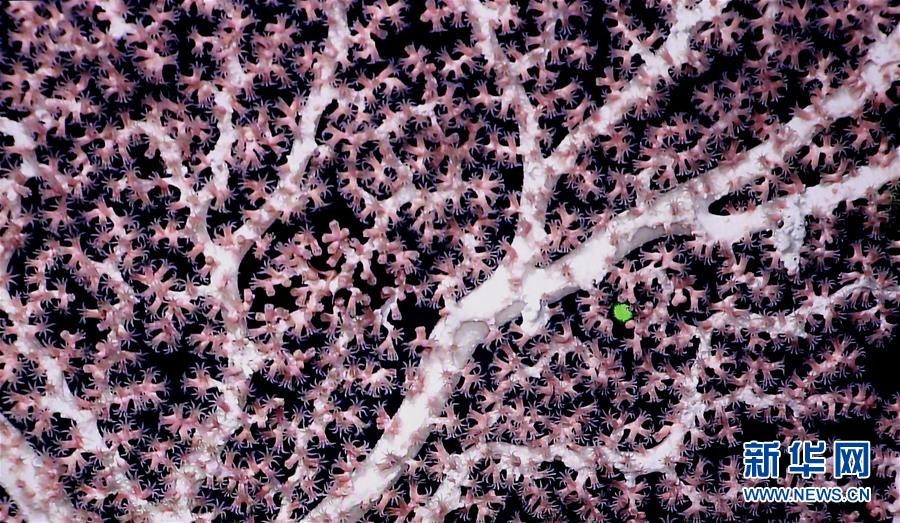 ????? ????? ?????? ??????? ????? 