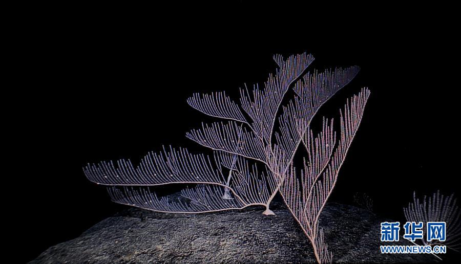 ????? ????? ?????? ??????? ????? 