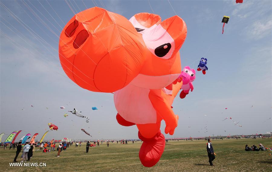 ??? ???????? ???????? ????? ?