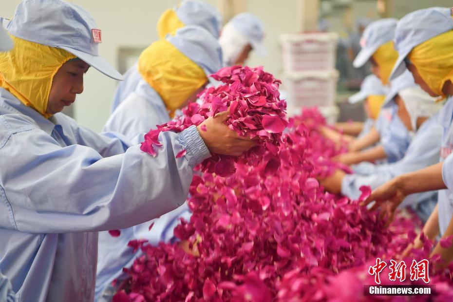 ????: ?????? ??????? ????? ?? ?????? ???? ???? ??????