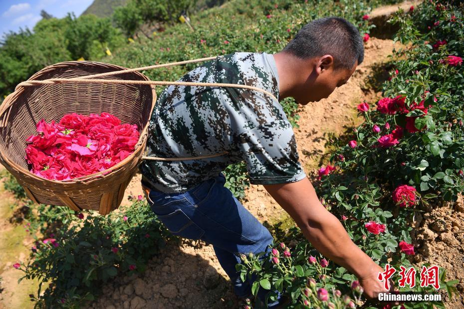 ????: ?????? ??????? ????? ?? ?????? ???? ???? ??????