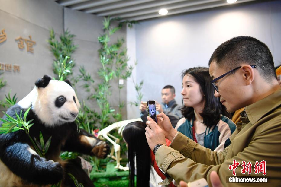 ??? ??? ???? ????? ?????? ????? ?????????? ?????? ??????? ?? ??????