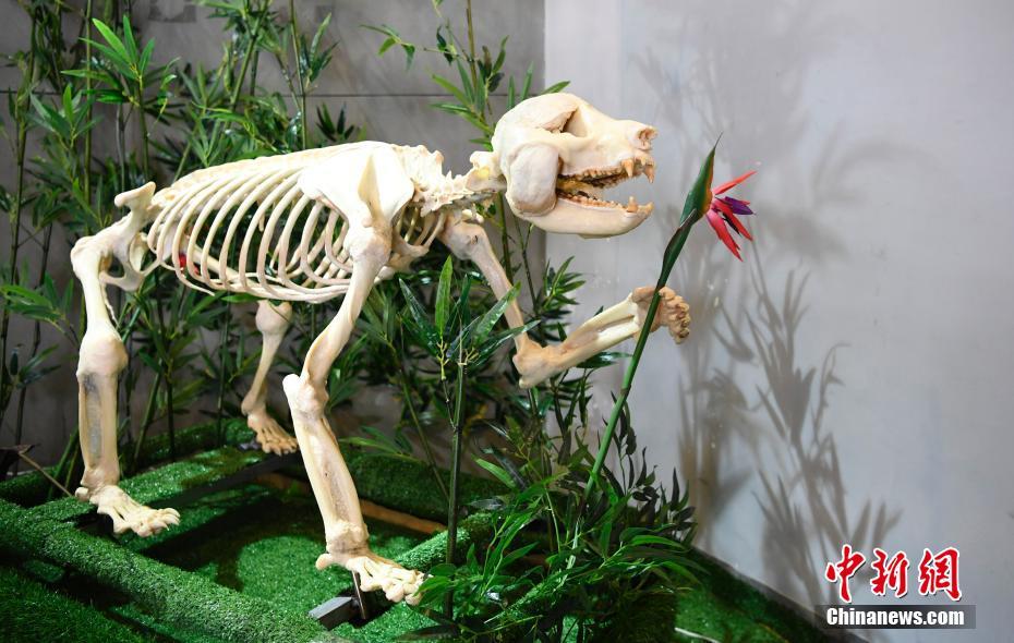 ??? ??? ???? ????? ?????? ????? ?????????? ?????? ??????? ?? ??????