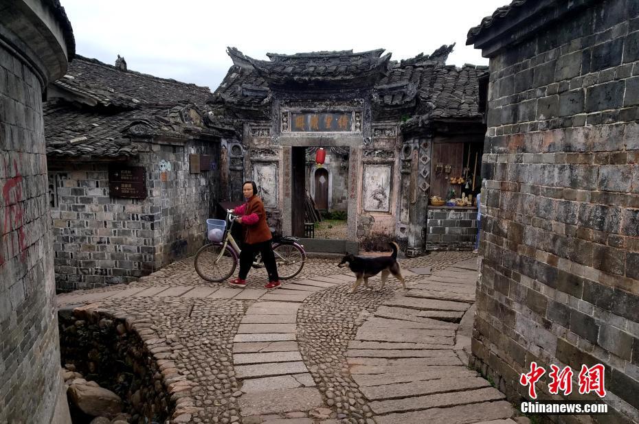 ??????: ?????? ???? ????? ???? ??? 800 ??? ?? ??????