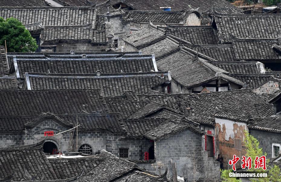 ??????: ?????? ???? ????? ???? ??? 800 ??? ?? ??????