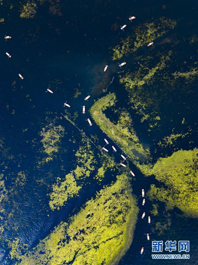 ??????: ????? ????? ??? ???? ???? ???? ??????