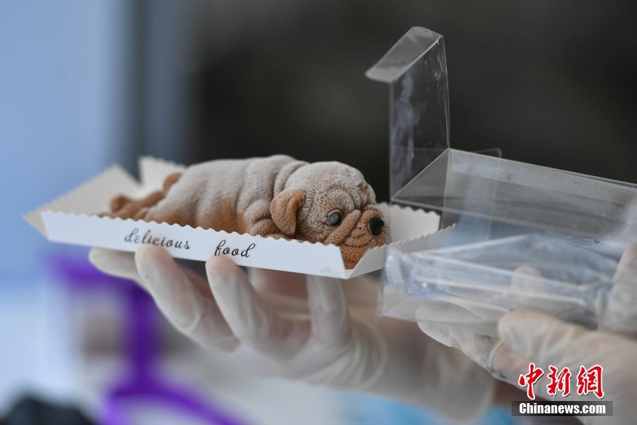 ???? ?????.. ????? ???