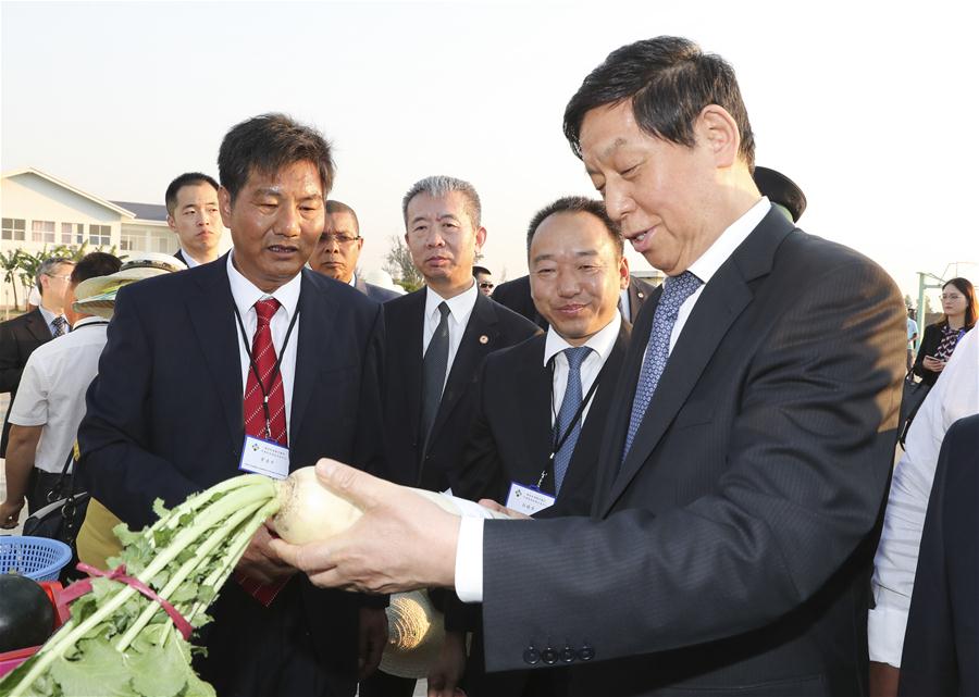 ???? ???????? ???????? ???? ??????? ?????? ??????? ????????