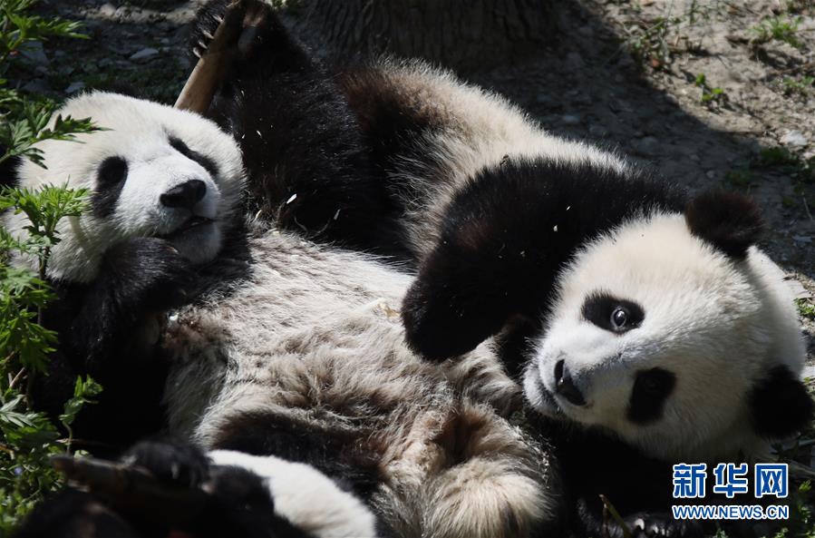 ???? ???? ???? ????? ???????