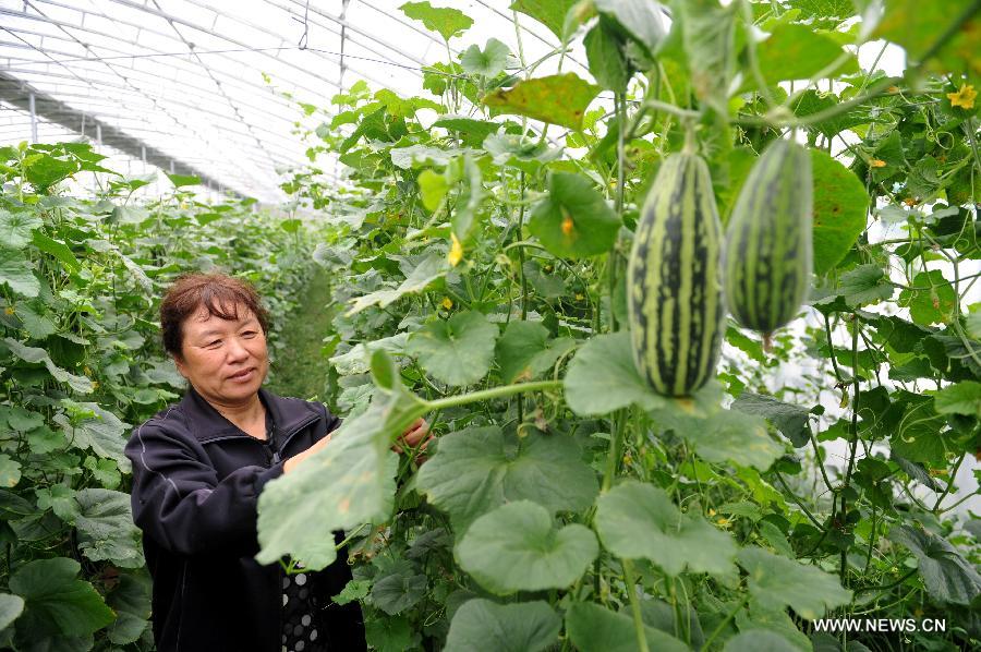 ???? ???????? ?????? ??? ????? ??????? ???????