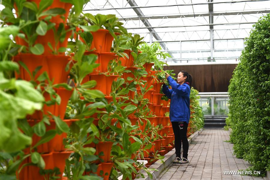 ???? ???????? ?????? ??? ????? ??????? ???????