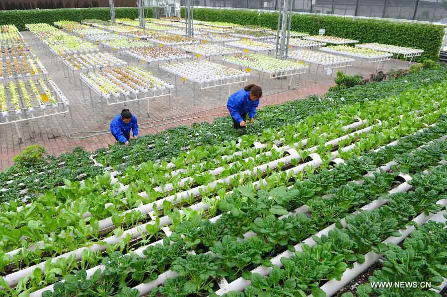 ???? ???????? ?????? ??? ????? ??????? ???????