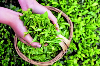 ???: ???????? ????? ???? ????? ????? ?????