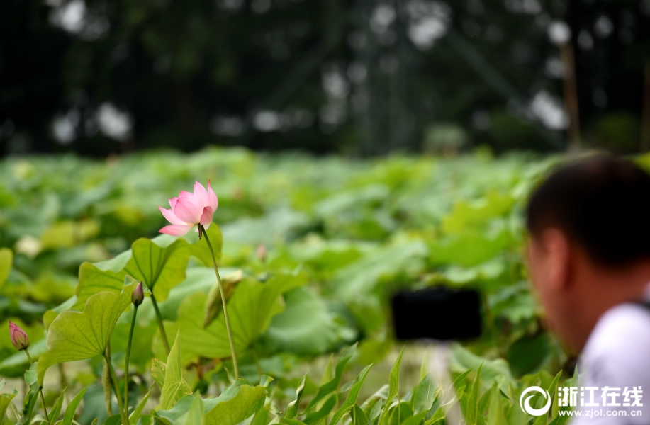 ??? ???? ???? ?????? ?? ??????? ???????