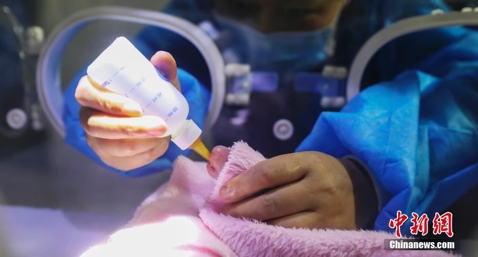 ????? ??? ????? ????? ?????? ?? ????? ????? ???????