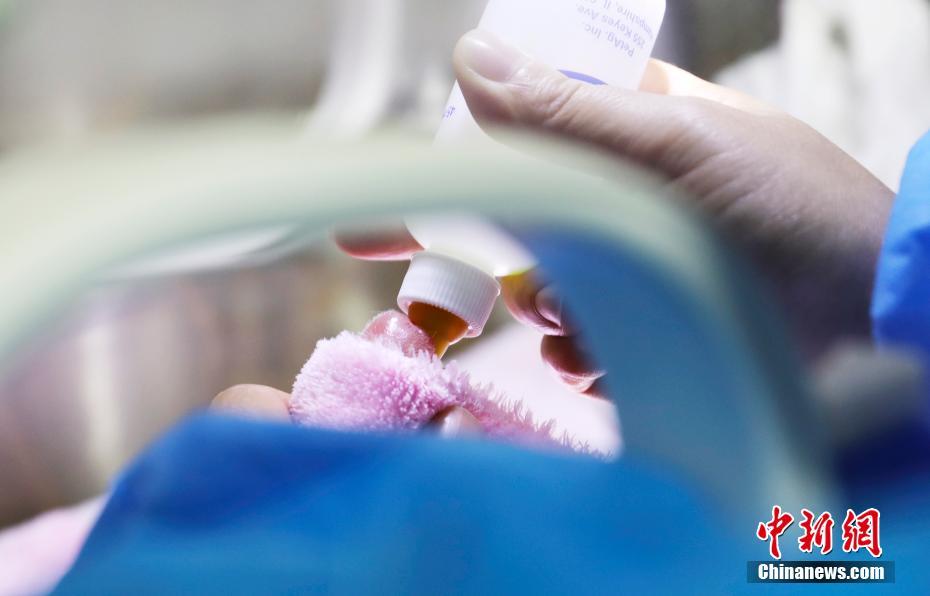 ????? ??? ????? ????? ?????? ?? ????? ????? ???????