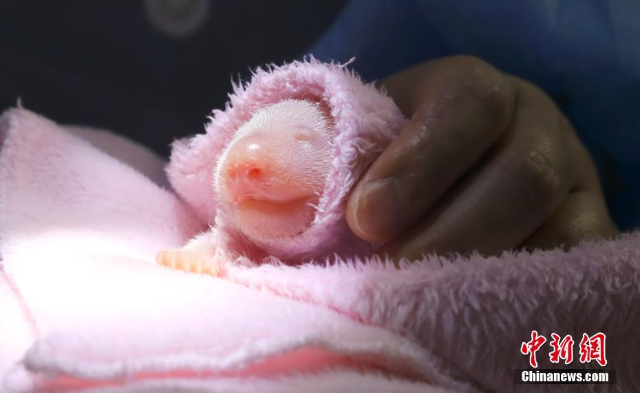 ????? ??? ????? ????? ?????? ?? ????? ????? ???????