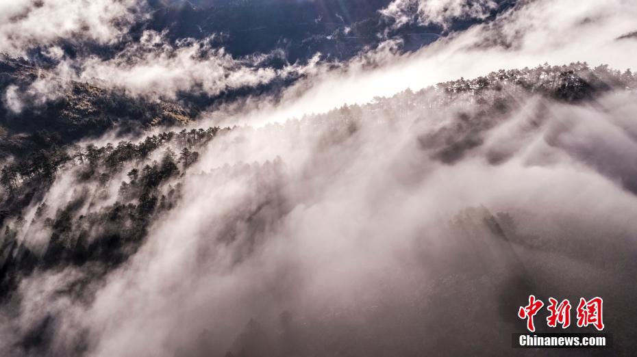 ??????: ???? ????????? ?? ????? ?????