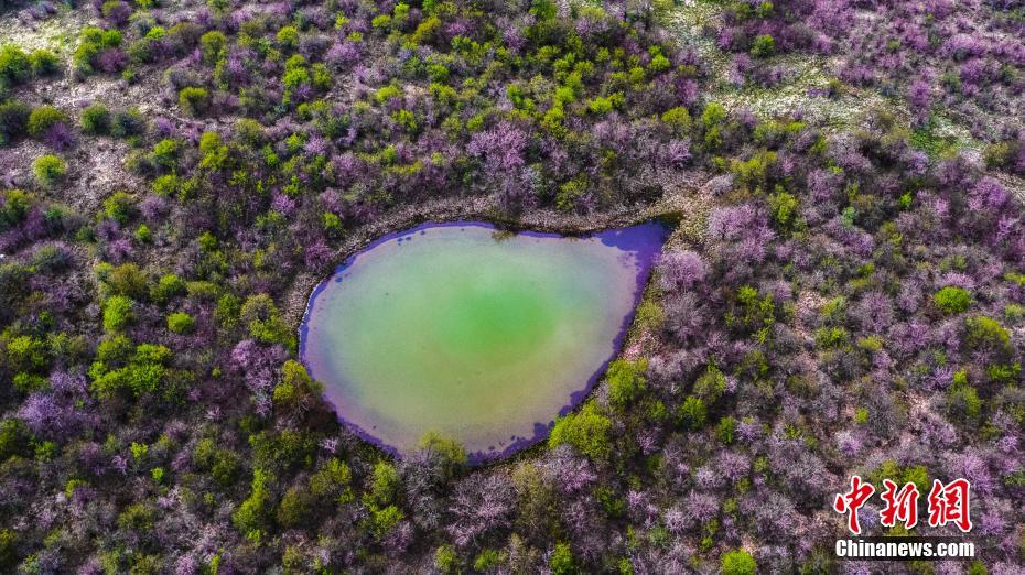 ??????: ???? ????????? ?? ????? ?????