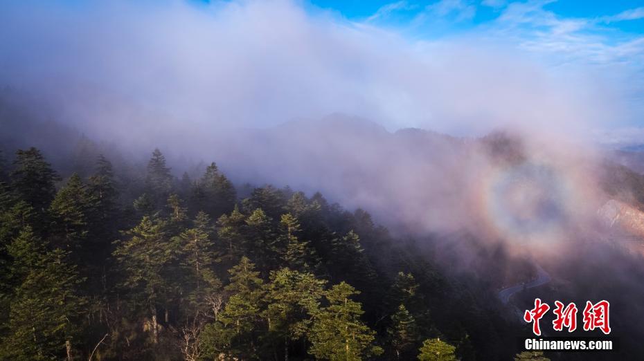 ??????: ???? ????????? ?? ????? ?????