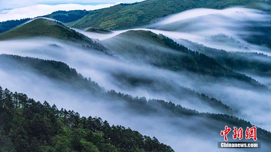 ??????: ???? ????????? ?? ????? ?????