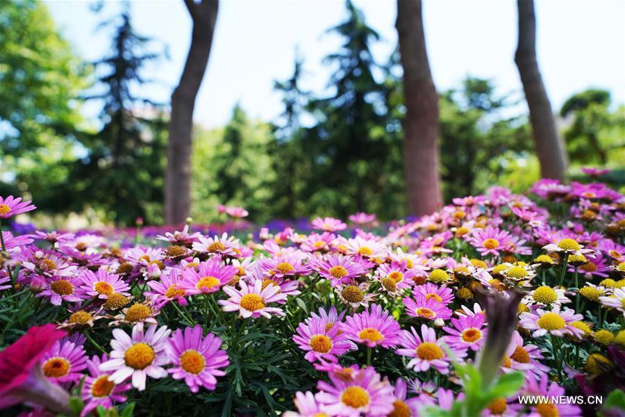 ????? ???????? ???????? ??????? ??? ????????? ???? ????? ??????? ???????