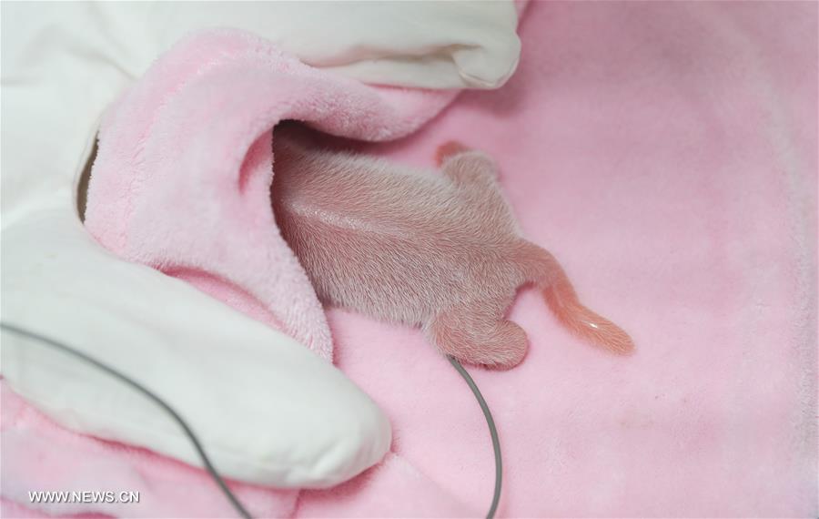 ????? ??? ???? ?? ??? ????? ??????? ??? ????? ?? ???? ??? ?????