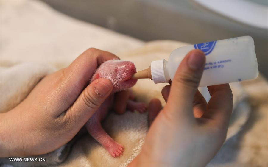 ????? ??? ???? ?? ??? ????? ??????? ??? ????? ?? ???? ??? ?????