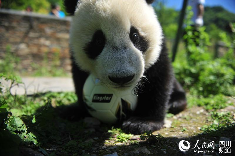 ??????: ??????? ???????? ????? ???? ?????? ??? ???????