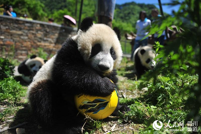 ??????: ??????? ???????? ????? ???? ?????? ??? ???????