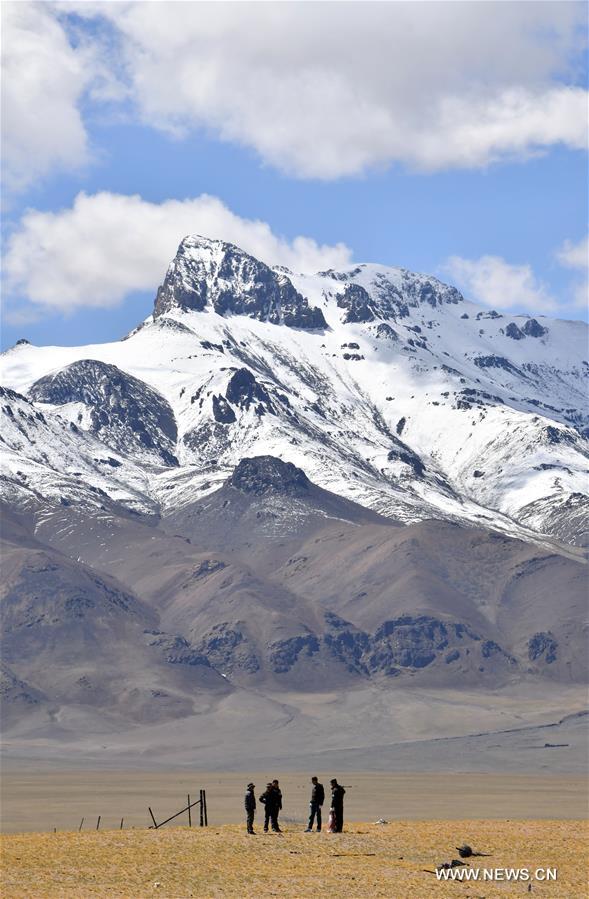 ????? ????? ????? ?????? ????? ?????? ?????? ?????? ???????