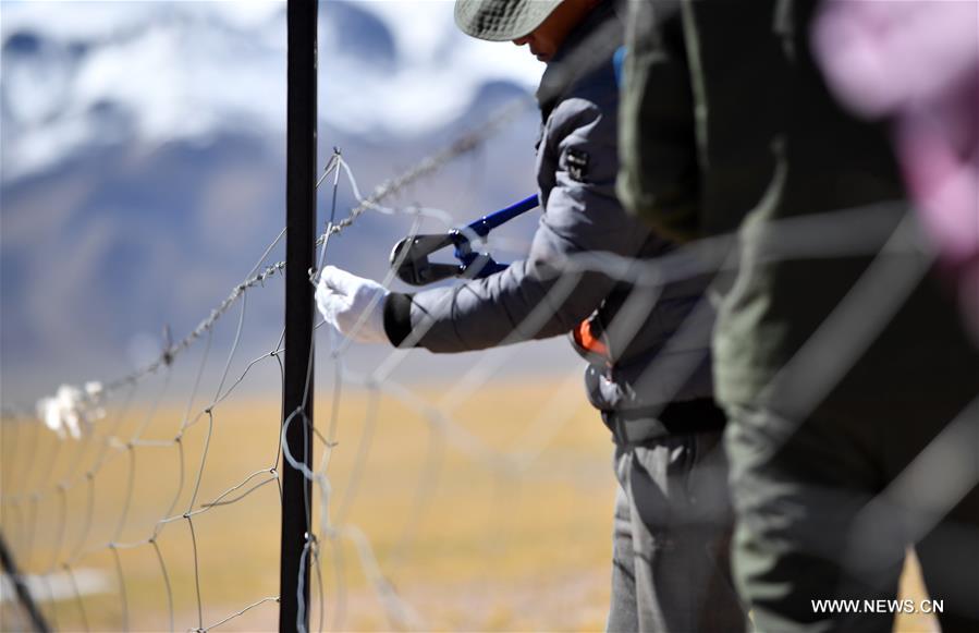 ????? ????? ????? ?????? ????? ?????? ?????? ?????? ???????